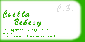csilla bekesy business card